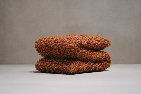 KERSENPITKUSSEN | teddy Bruin